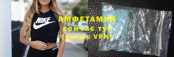 крисы Няндома
