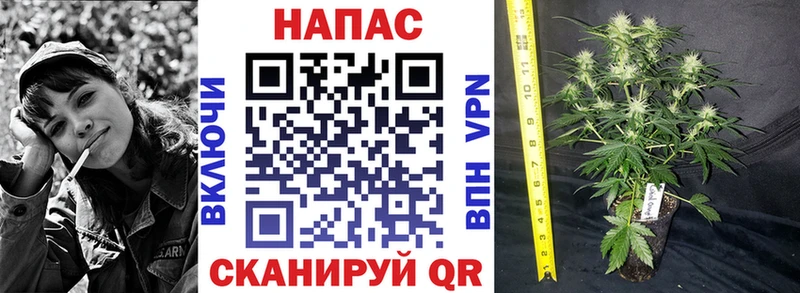Бошки Шишки Amnesia Неман
